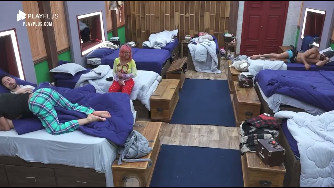 Gente eu tô morrendo kkkkk Aline não aguentou #dayline #afazenda