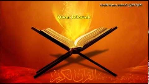 الحاج عامر الكاظمي سورة الأنعام