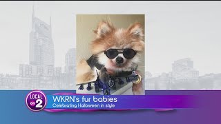 Ode to the doggos on Halloween