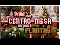 13 Ideas de Centros de Mesa Navideños con Plantas