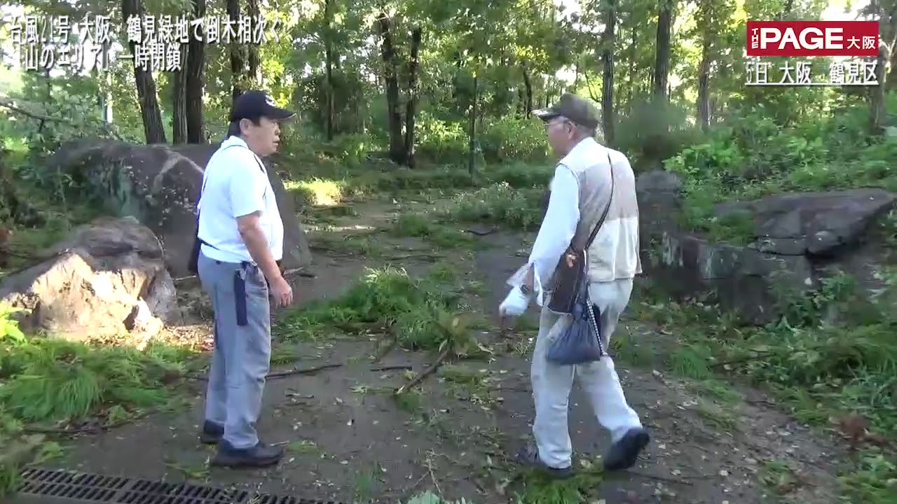 台風21号 大阪・鶴見緑地で倒木相次ぐ「山のエリア」一時閉鎖 - YouTube
