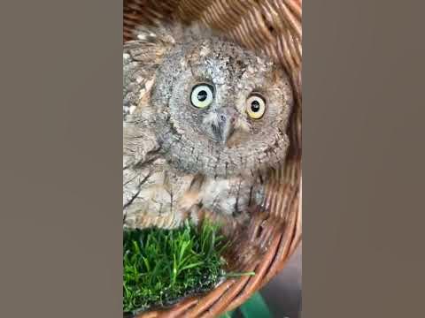 Почему глаз дёргается 😂 - YouTube