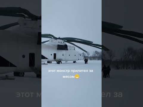 ми 26 вывоз оленины #ми26 #helicopter  #заполярье #россия #еда #ми-26 #вертолет #ми8