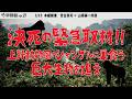 【3/15開催】界隈塾 vol.21：宮台真司 × 山極壽一　開催記念！上野の密林に巣食う巨大生物に迫った衝撃のドキュメント！