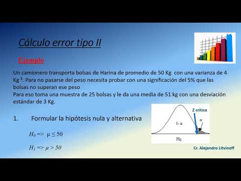 Video: ¿Qué causa un error de tipo 2?