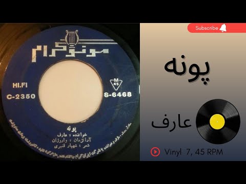پونه عارف به همراه توضیحات صفحه