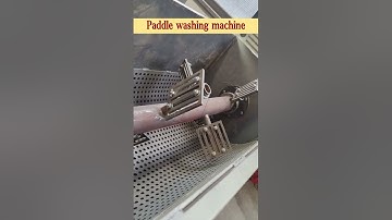 Cassava cleaning machine paddle washing machine for cassava processing plant.