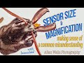 Sensor Size and Magnification - correcting a common misunderstanding