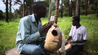 Gambian Kora Player