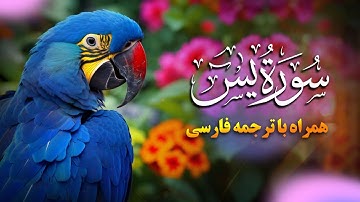 تلاوت زیبای سوره یاسین (یس) 🎧😴 | شنیدن این تلاوت قلب شما را آرام می کند ان شاءالله | ترجمه فارسی