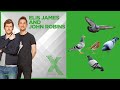 A robins amongst the pigeons the complete collection  elis james and john robins radio x