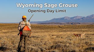 Hunting Wyoming Sage Grouse: Opening Day Limit! by Alpha Dog Nutrition 1,501 views 6 months ago 5 minutes, 35 seconds