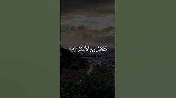 ولا تحسبن الله غافلا عما يعمل الظالمون/ القارئ نايف الفيصل #قرآن