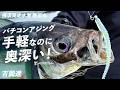 【バチコン】手軽なのに奥深い！横須賀・教至丸で楽しむバチコンアジング / 吉岡進