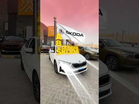 هترجع تنافس تاني   8