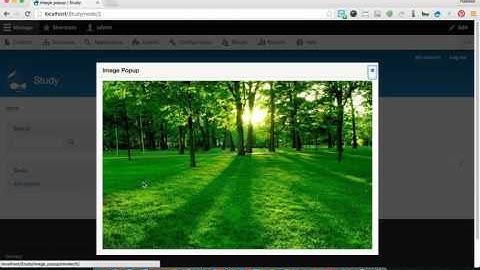 How to use Simple image popup in Drupal 8?