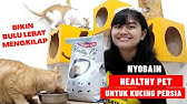 Review Kitchen Flavor Vs Healthy Pet All Stages Harga Sama Komposisi Beda Mana Yang Lebih Bagus Youtube
