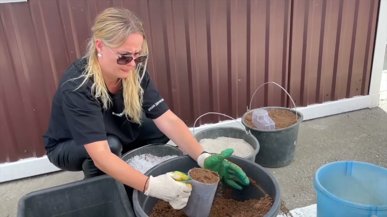 Евгений Олейник и Ирина Любченко – Создание субстрата для осеннего черенкования хвойных в Крыму.