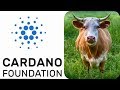 Cardano (ADA) Breakout is here – Brian Kelly CNBC Ada Coin Price
Prediction 2020