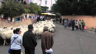 festa della lana di Ternengo