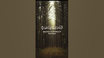 #سورة_الماعون #عبدالرحمن_مسعد #quran #tilawat
