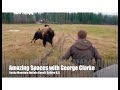 Amazing Spaces TV show ~ Rocky Mountain Buffalo Ranch, Golden BC