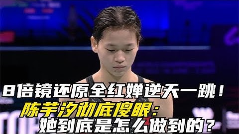 全红婵柏林跳水世界杯逆天一跳！陈芋汐都服了：她是怎么做到的？【啵啵体育】 - 天天要闻