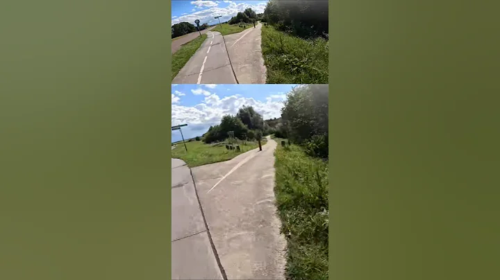 Small Descent on the Knardijk | Oostvaardersplassen POV #shorts