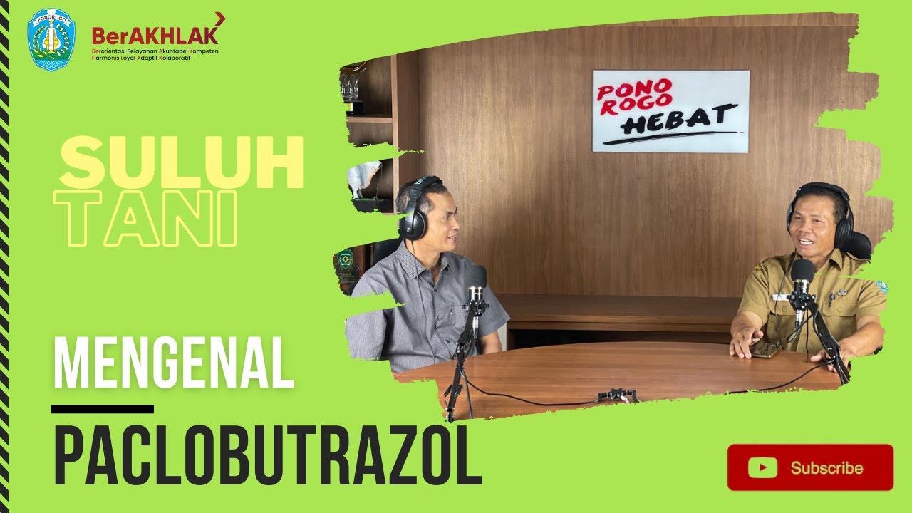 Aplikasi ZPT : Nyata atau Tidak? Bincang dengan Koordinator PP Kecamatan Ngebel