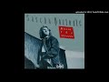 洋楽 Sascha Pavlovic/Kissin' the streets AOR Sascha Pavlovic – Kissin' The Streets – CD (Album), 1990