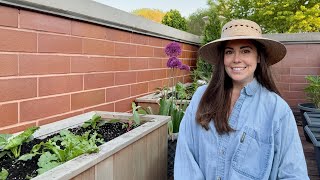Planting My Back Deck Garden Beds + How I Design My Garden & Refresh Container Soil