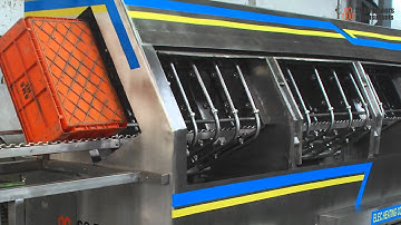 Incline Crate Washer: Optimize Your Crate Cleaning with Advanced Incline Technology