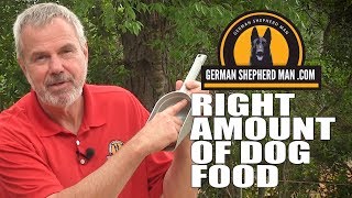 German Shepherd feeding measurements AND my dogs HOWLING!!!