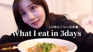 【3日間の食事vlog