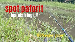 GAK BISA BERKATA KATA KALO MANCING NYA SEPERTI INI...‼️