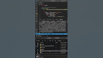 Flet | Crea ejecutable PERSONALIZADO con ÍCONO |  #programacion