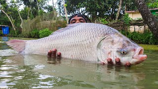 I use my cast net to catch a large fish | New Cast Net Fishing #fishing