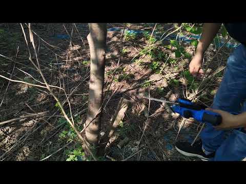 WORKSITE Customized 20V