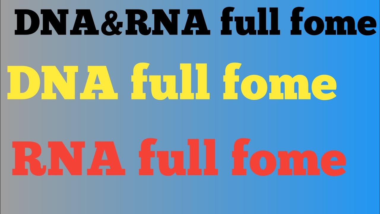 DNA Ka Full Form RNA Ka Full Fome biology biologyclass12 rpsc YouTube dna-ka-full-form-rna-ka-full-fome-biology-biologyclass12-rpsc-youtube