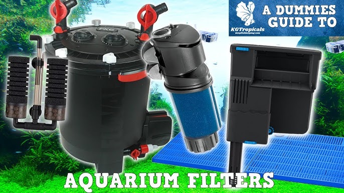 External filters, Technology, Aquatics