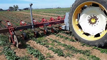 Bineuse guidée par caméra et DynaTrac® LAFORGE | Cultivator guided by vision and DynaTrac® LAFORGE