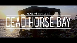 Dead Horse Bay: New York's Hidden Treasure Trove of Trash