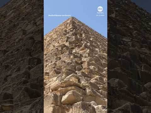 Dog makes expert descent down pyramid after being spotted on top of ancient landmark by paraglider