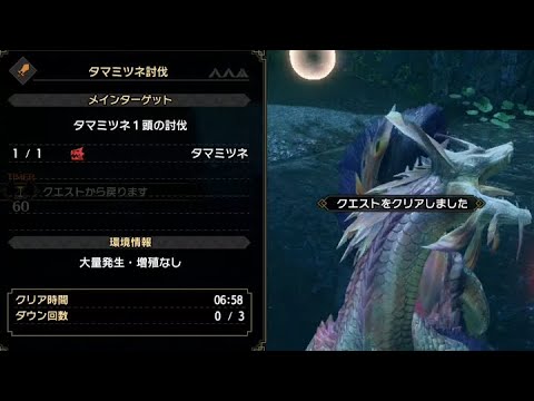 Mhrise体験版 タマミツネ 双剣 6分58秒 罠 爆弾なし Mizutsune Dual Blades Youtube