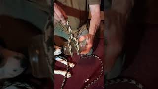 May 20, 2026 constrictor KNOT is NOT a clove hitch.