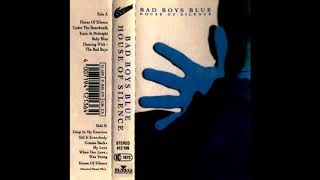 BAD BOYS BLUE - TRAIN AT MIDNIGHT