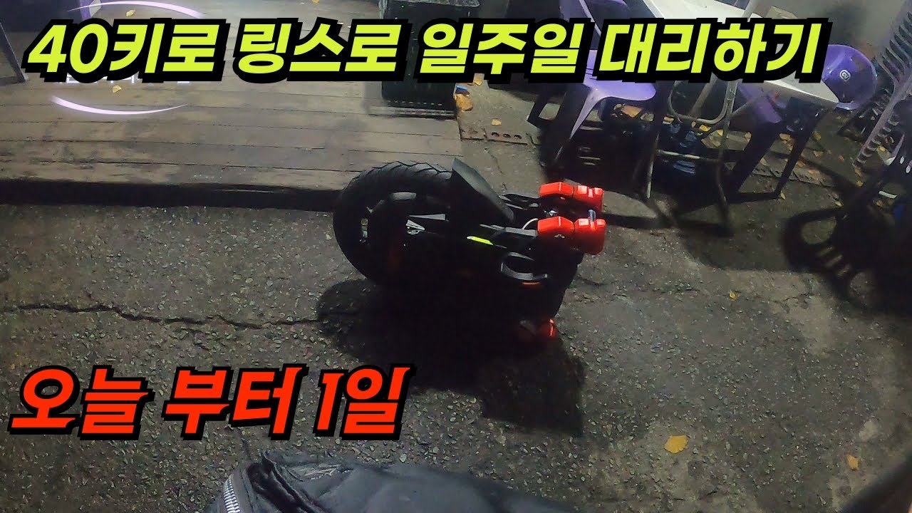 링스랑 1주일동안 대리하기 이히히힝