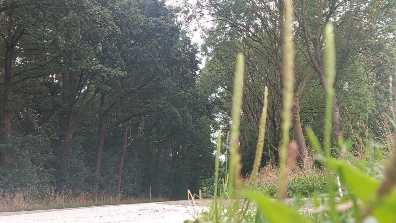 Ducati Monster 620ie Supertrapp exhaust 