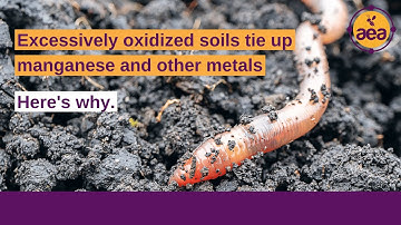 Farmers need to release manganese and other metals from soil reserves. Here