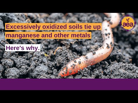 Farmers need to release manganese and other metals from soil reserves. Here's how. | Regenerative Ag